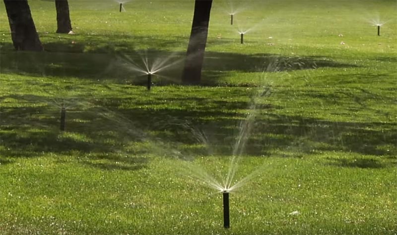 Sprinkler head types